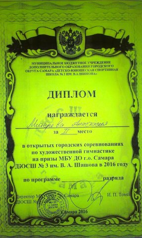 Диплом 2 место в городских соревнованиях по худож.гимнастике